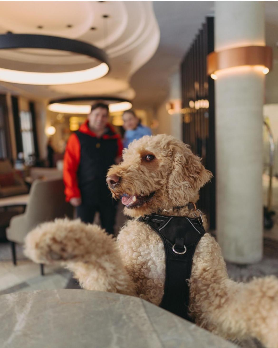 Le Westin Tremblant Hotell Mont-Tremblant Eksteriør bilde